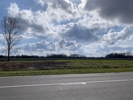 grond te koop in puurs-sint-amands