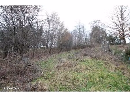 terrain 1758 m² birkenwald