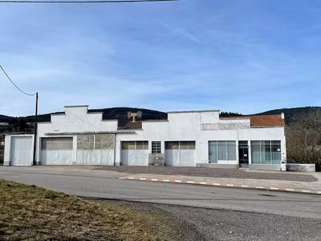 ténement immobilier entrepots  bureaux  et appartement saint priest la prugne