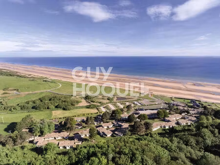 pour investisseur  appartement en bord de mer à colleville sur mer (14710).