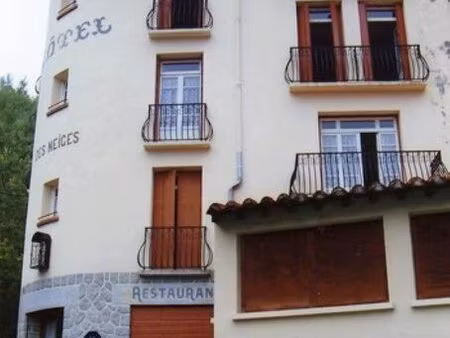 vente commerce 400 m² prats-de-mollo-la-preste (66230)