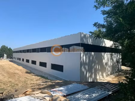 local d'activite a louer