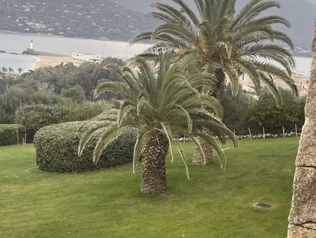 vente local commercial 1200m2 ajaccio 20000 - 4200000 € - surface privée