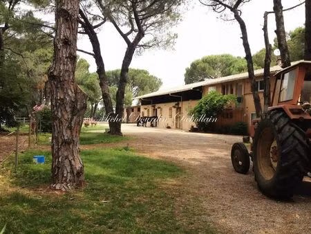 vente maison 12 pièces 110 m² beaucaire (30300)