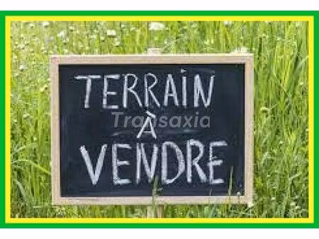 vente maison 1 pièce 1200 m² neuvy-sur-barangeon (18330)