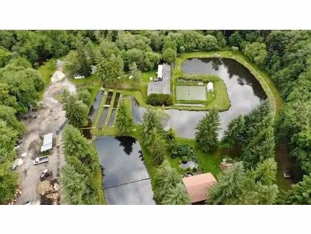 vente maison 3 pièces 50 m² le palais-sur-vienne (87410)