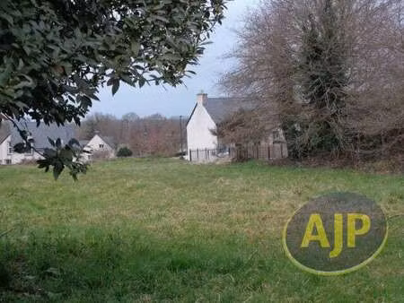 vente terrain à cruguel (56420) : à vendre / 1954m² cruguel