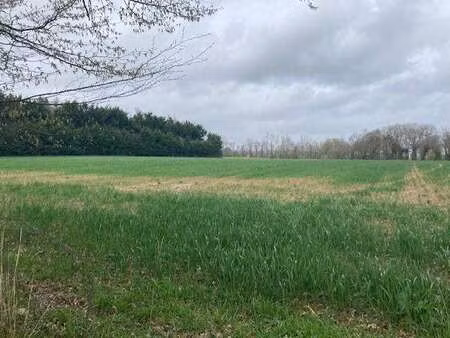 vente terrain à guer (56380) : à vendre / 7000m² guer