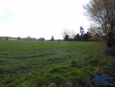 vente terrain 1000 m² guern (56310)
