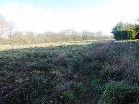 vente terrain à locmalo (56160) : à vendre / 799m² locmalo