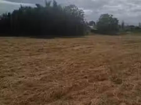 vente terrain 800 m² mirepoix-sur-tarn (31340)