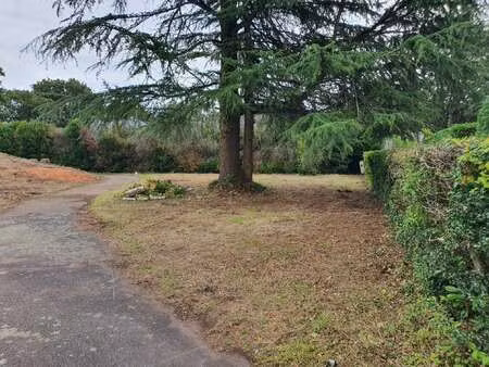 vente terrain à sautron (44880) : à vendre / sautron