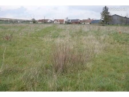 terrain constructible