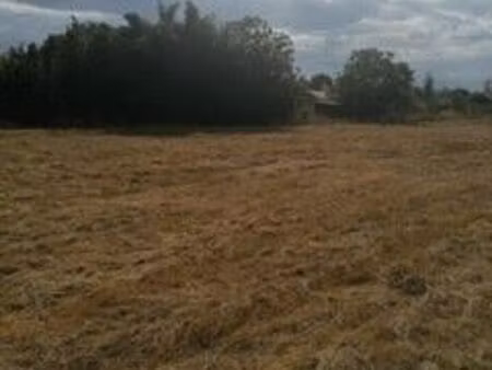 vente terrain 800 m² mirepoix-sur-tarn (31340)