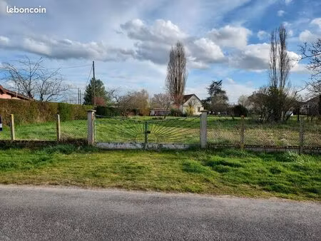 terrain constructible