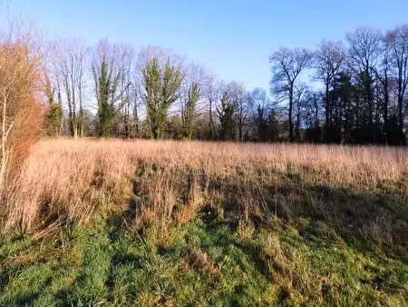 terrain agricole