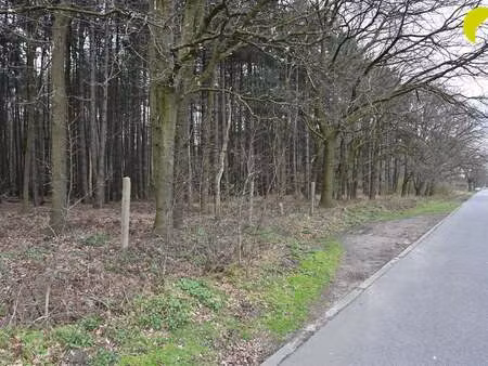 terrain à vendre à wachtebeke € 29.500 (kd4ng) - habicom antwerpen | zimmo