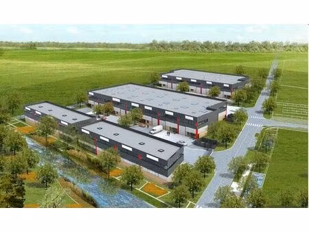 vente local industriel 245 m² famars (59300)