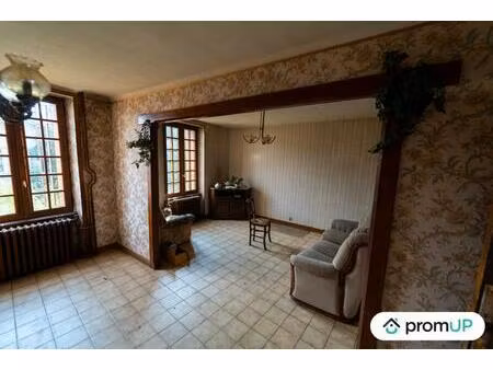 vente maison 17 pièces 300 m² chabreloche (63250)