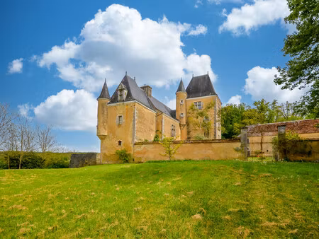 chateau à vendre à coulaures (24420) - dordogne
