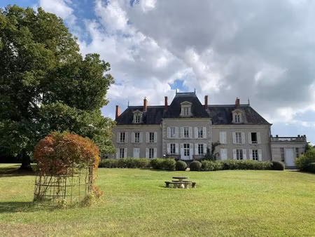 vente château 21 pièces 550 m² à le veurdre (03320)  695 000 €