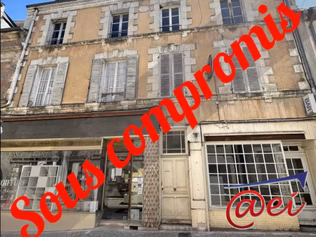 vente maison 10 pièces 250 m² châtillon-sur-loire (45360)