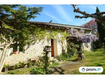 vente maison 4 pièces 148 m² clermont-dessous (47130)
