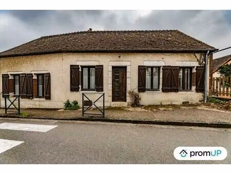 vente maison 5 pièces 270 m² nevoy (45500)