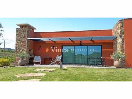 vignoble pezenas (34)