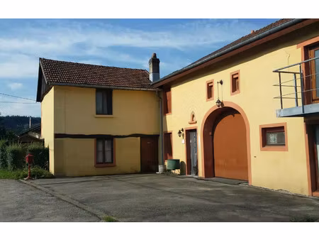vente maison 7 pièces 250 m² prey (88600)