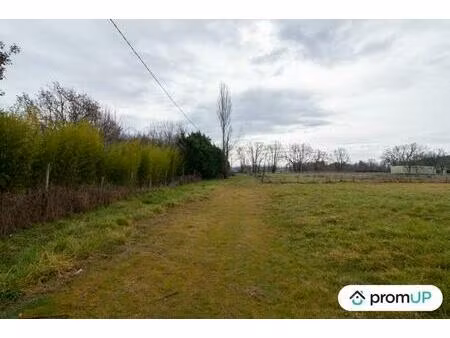 vente maison 2078 m² vacquiers (31340)