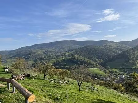 vente maison 5 pièces 110 m² sainte-croix-aux-mines (68160)