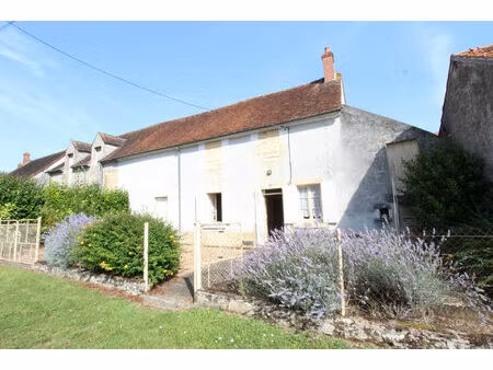 vente maison 3 pièces 55 m² varennes-lès-narcy (58400)
