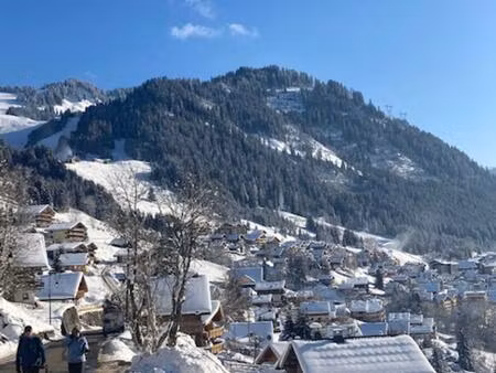 vente terrain 1459 m² châtel (74390)