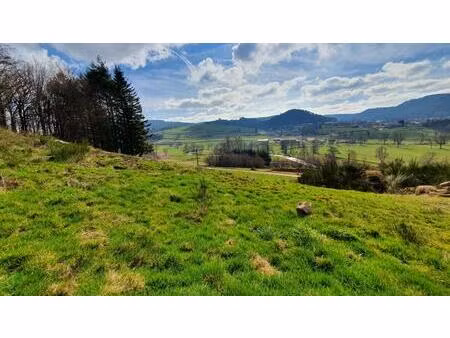 vente terrain 1257 m² deycimont (88600)