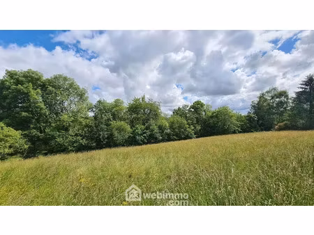 vente terrain 2153 m² à haut-de-bosdarros (64800)  62 900 €