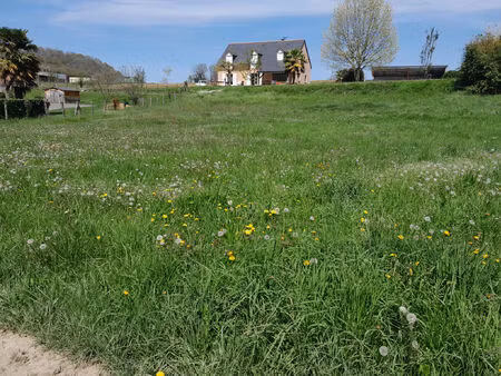 vente terrain 1097 m² lourdes (65100)