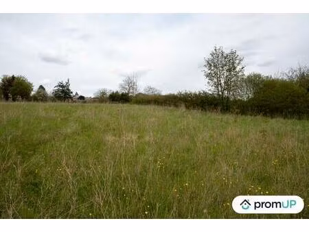 vente terrain 1715 m² montmirail (51210)