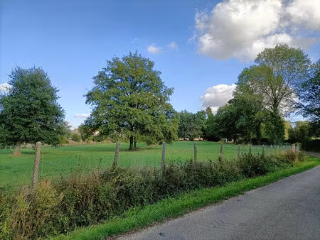 vente terrain 5677 m² pourrain (89240)