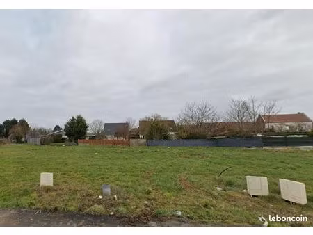 terrain bois bernard