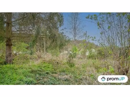 vente terrain 988 m² catenoy (60840)