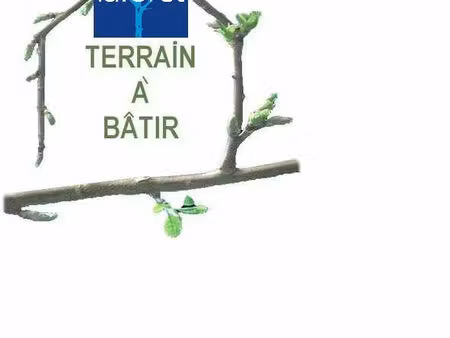 vente terrain 387 m² chazelles-sur-lyon (42140)