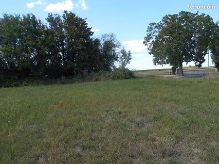 terrain constructible