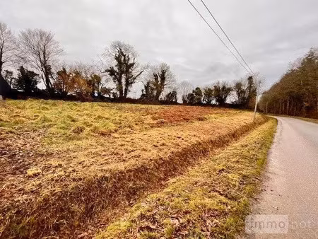 vente terrain à batir 1545 m² à langolen (29510)  54 000 €