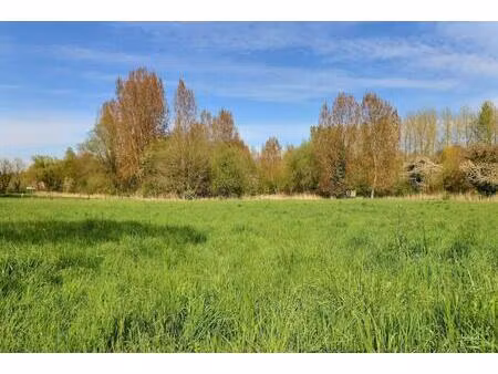 vente terrain 4202 m² paillencourt (59295)