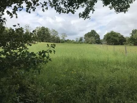 vente terrain 2966 m² saint-amand-montrond (18200)