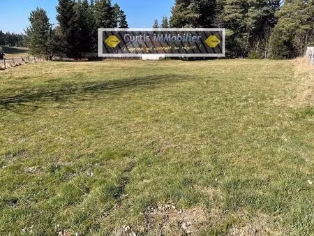 vente terrain 880 m² saint-pal-de-mons (43620)