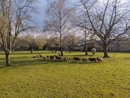 terrain 15700 m² sézanne