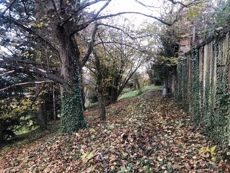 vente terrain 1223 m² thizy-les-bourgs (69240)