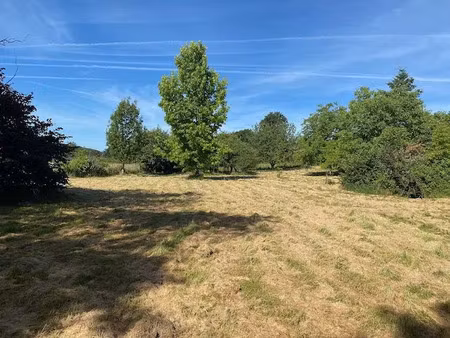 vente terrain 4917 m² bourg-le-comte (71110)